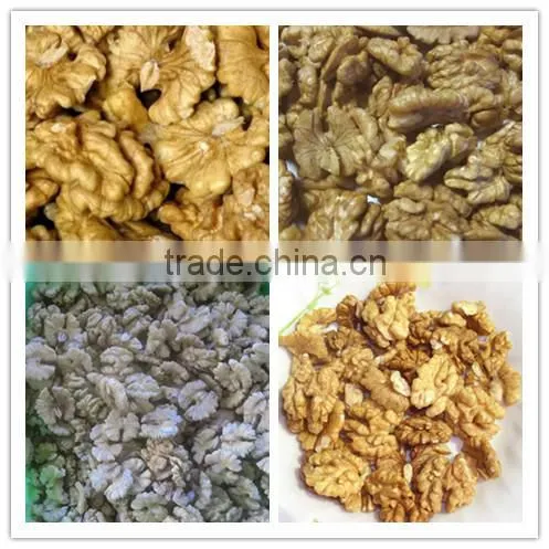 Supply Walnut- Natural walnut kernels Light halves