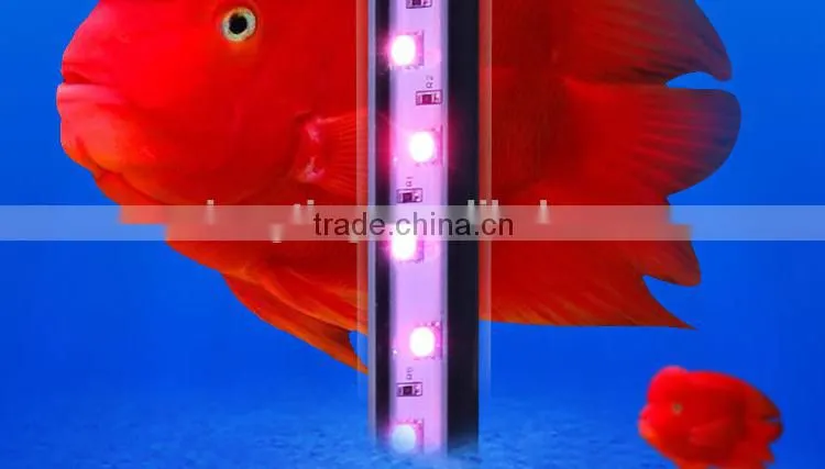 Arowana LED aquarium lights with colourful lights