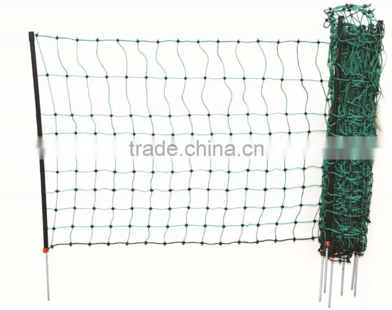baby Horse fence netting
