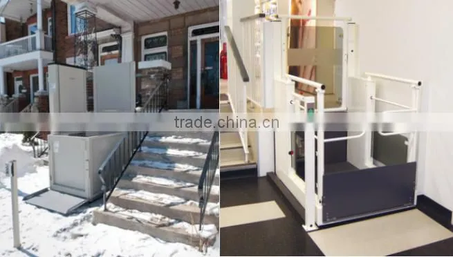 True win high quality stainless steel Accessible Vertical Lifts made in China