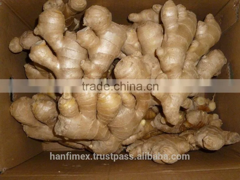 ORGANIC FRESH GINGER VIETNAM FOR GINGER SLICES