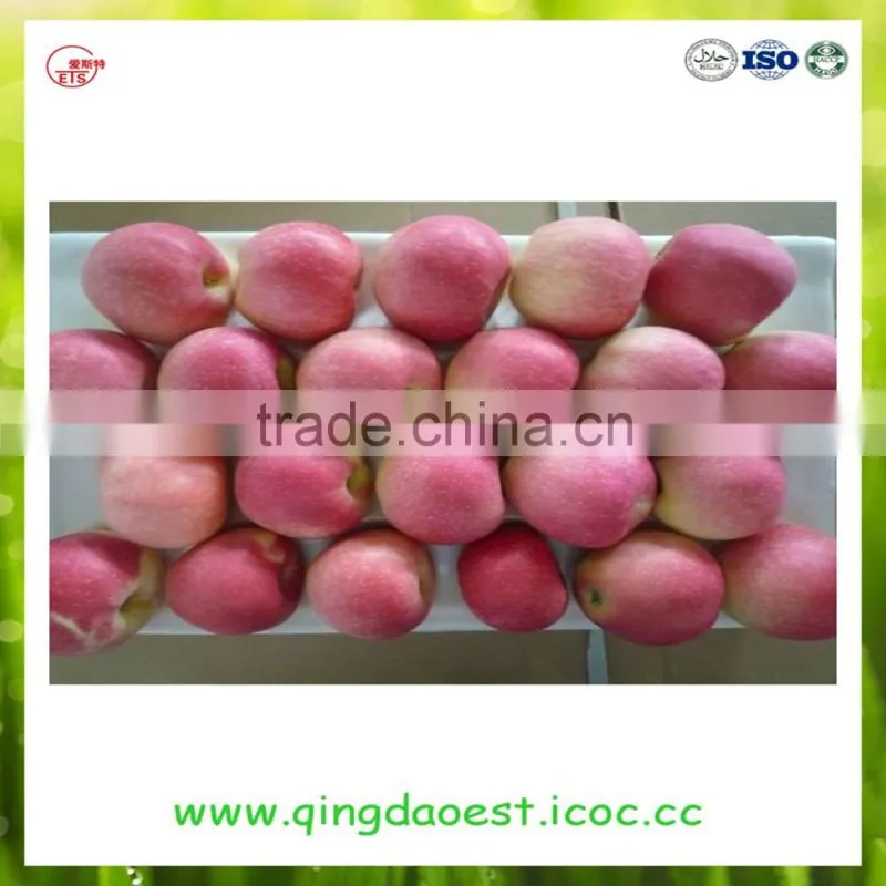 fresh red fuji apple