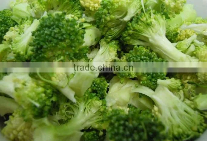 Sell 100%Natural Broccoli Powder Extract