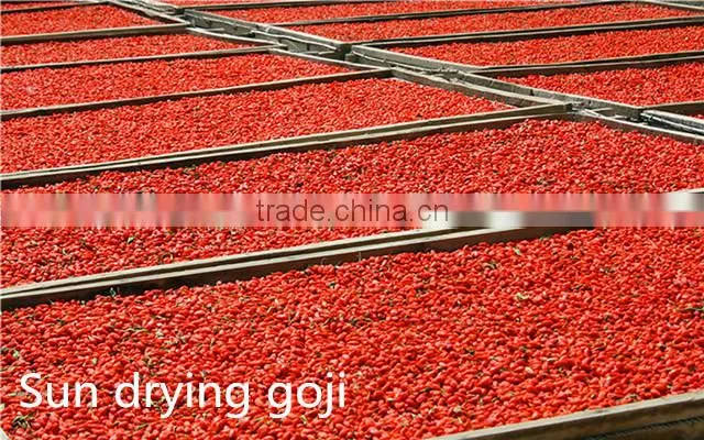 Goji Berry farm sale 380g/50