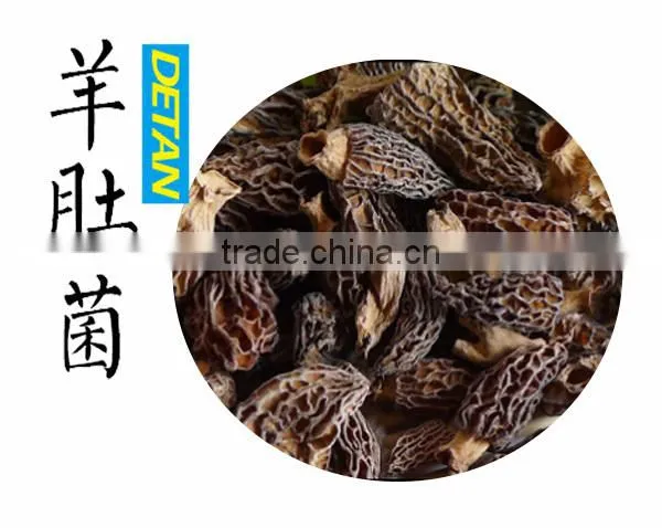 Frozen Processing Type Morels