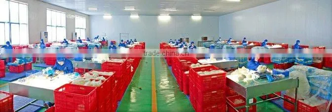 Shangdong Longkou Vermicelli hot sales