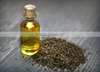 CARAWAY ESSENTIAL OIL
