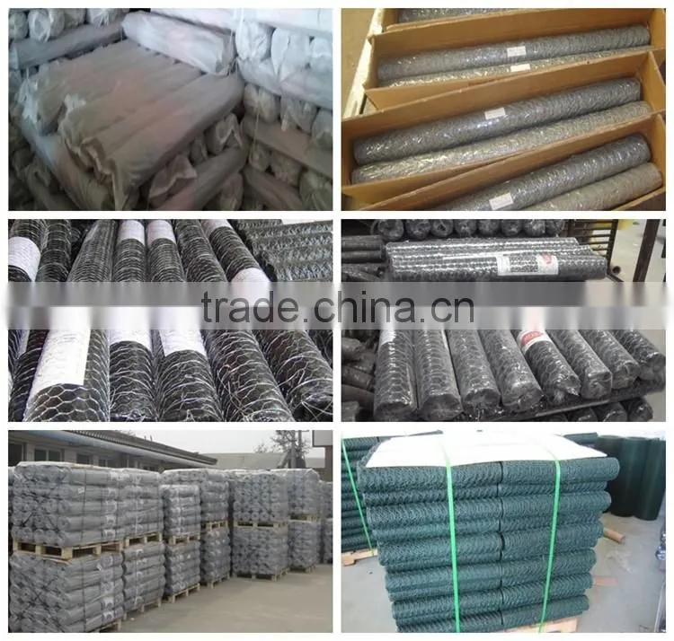 Low cost chicken coop wire netting for sale for chicken