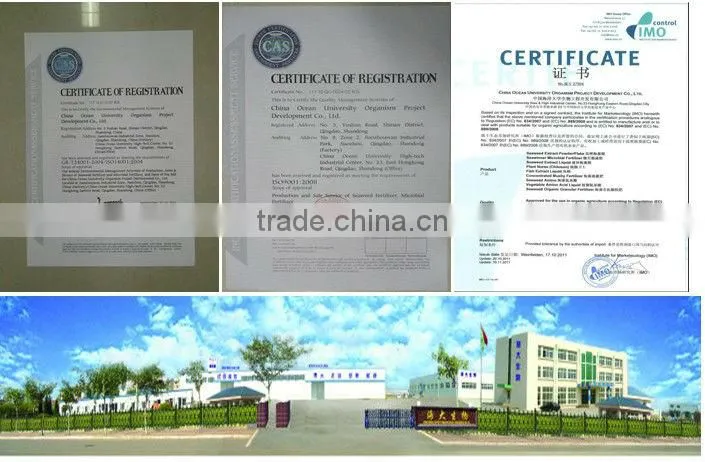 Seawinner Zinc Liquid (Biological Fertilizer)