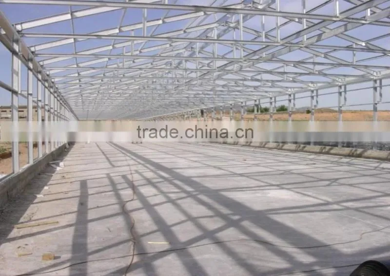 Steel structure chicken shed /environmental control steel house