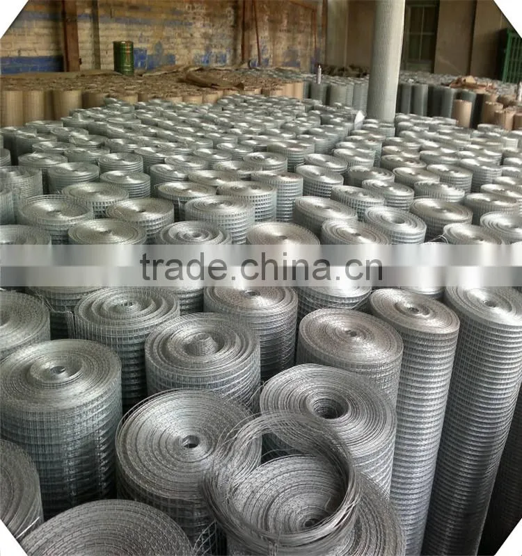 China Wholesale Professional Manufacture Galvanized Welded Wire Mesh/pvc coated/stainless steel welded Wire Mesh