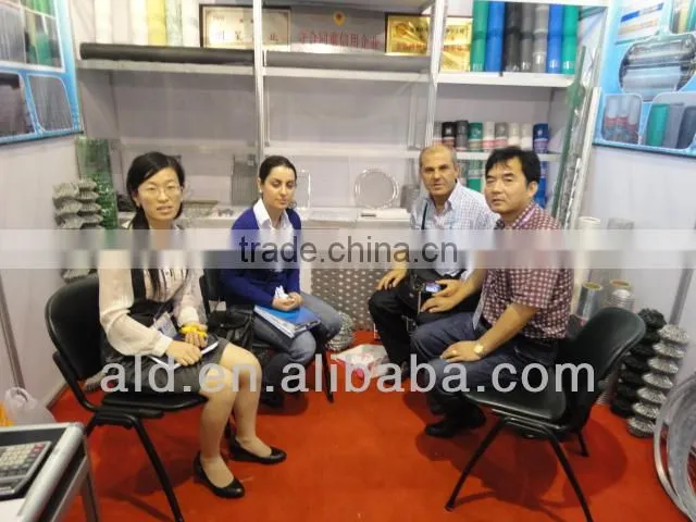 hebei factory 2mm galvanized wire wire mesh factory