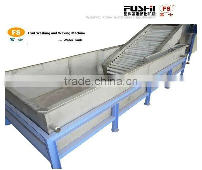 Electronic Fruit & Vegetable Washing Waxing and Grading Machine