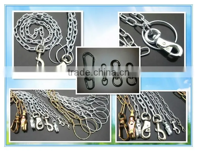 Roundness or Tetragonum Dog chain