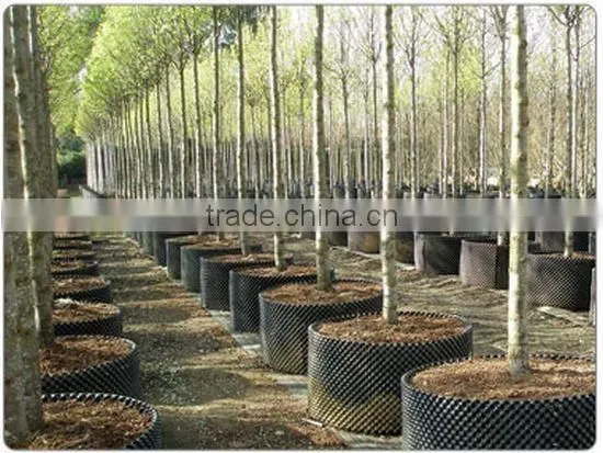 agriculture fixed root pruning container for young tree