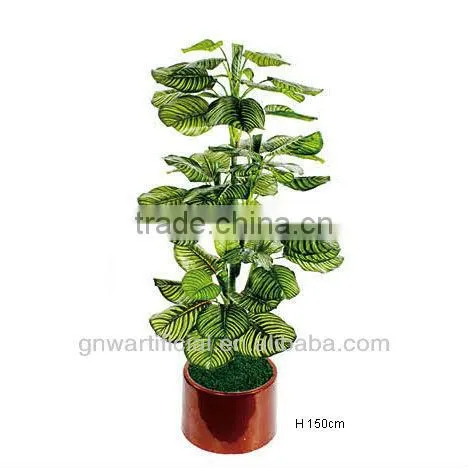 plant and tree nursery green mini plants indoor office GNW G120