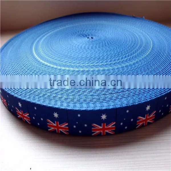 Custom Printed 1inch dog collar webbing wholesale