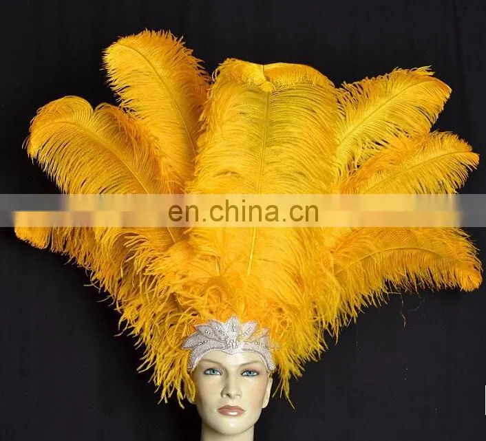 ostrich feather