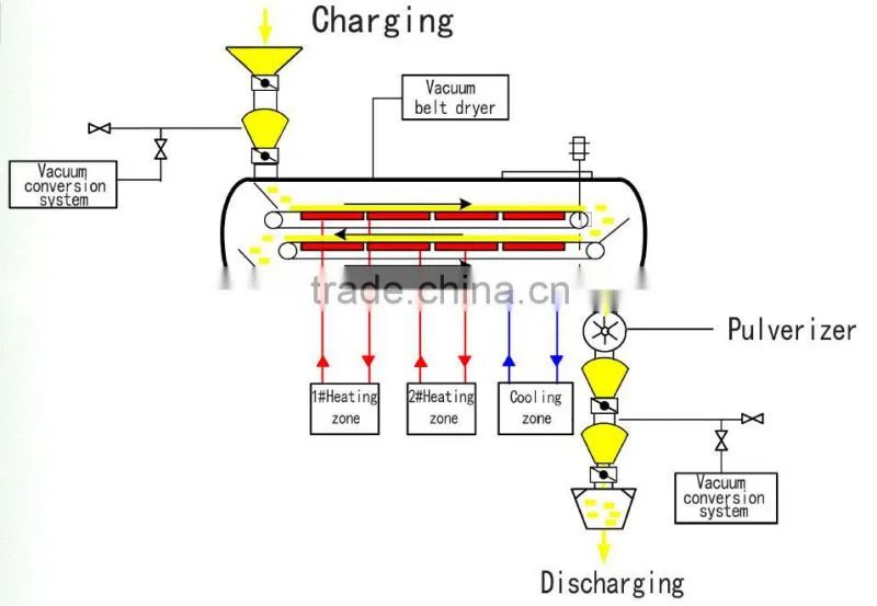 Belt vacuum powder continuous dryer for blueberry powder