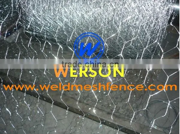 Stainless Steel Hexagonal Wire Netting