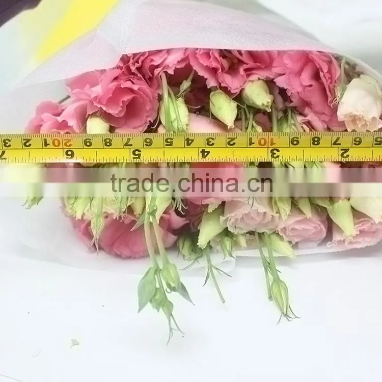 Excellent quality best sell fresh cut colorful eustomas