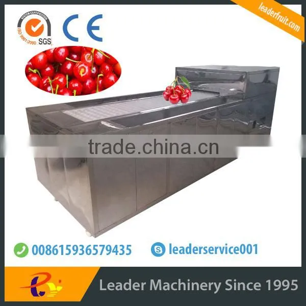 Leader fruit pitting machine with CE&ISO