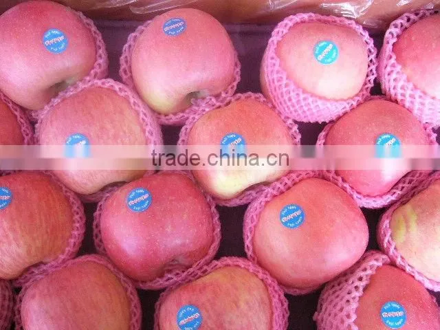 new season fresh fuji apple