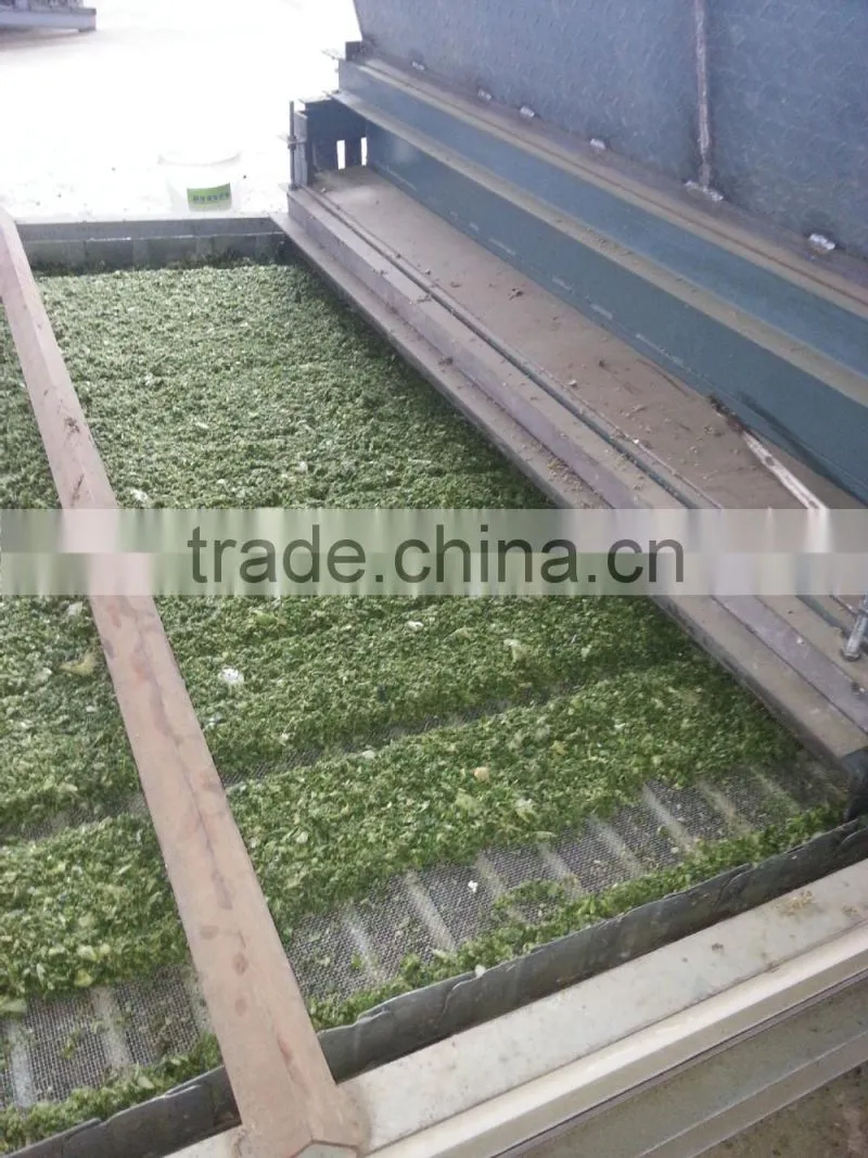 Mesh belt dryer for cabbage