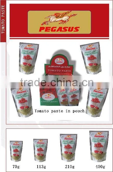 Standing Pouch tomato paste tomato suace