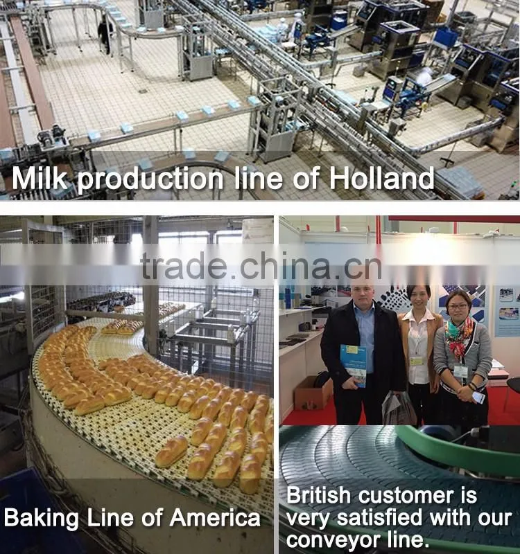 Conveyor Belt for Plastic Bottles, Bottle Conveyor Belt, PVC Belt Conveyor