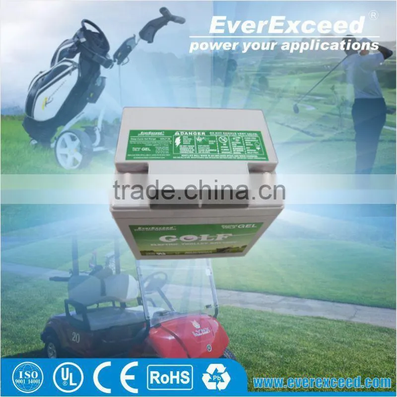 High energy light weight 12v lithium battery pack