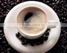 shanghai passion fruit extraction and concentrate machine for the instant coffee powder processing