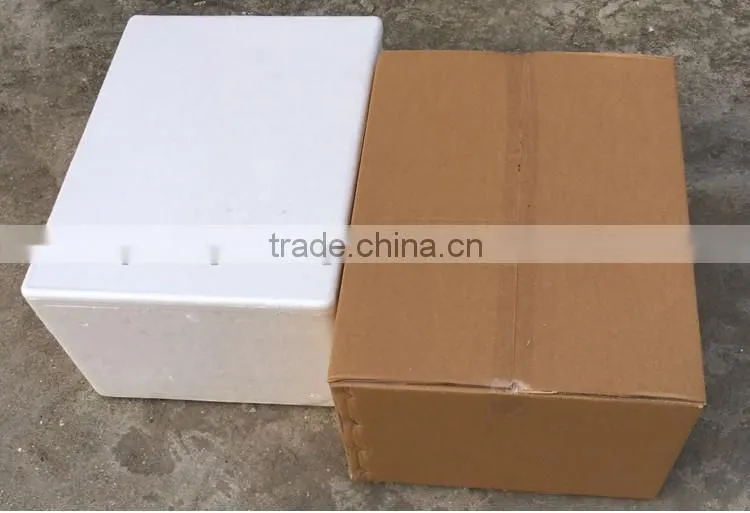 Paperboard Paper Type foldable recyclable fridge vegetable box
