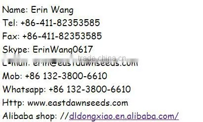 Chinese seedless watermelon seed