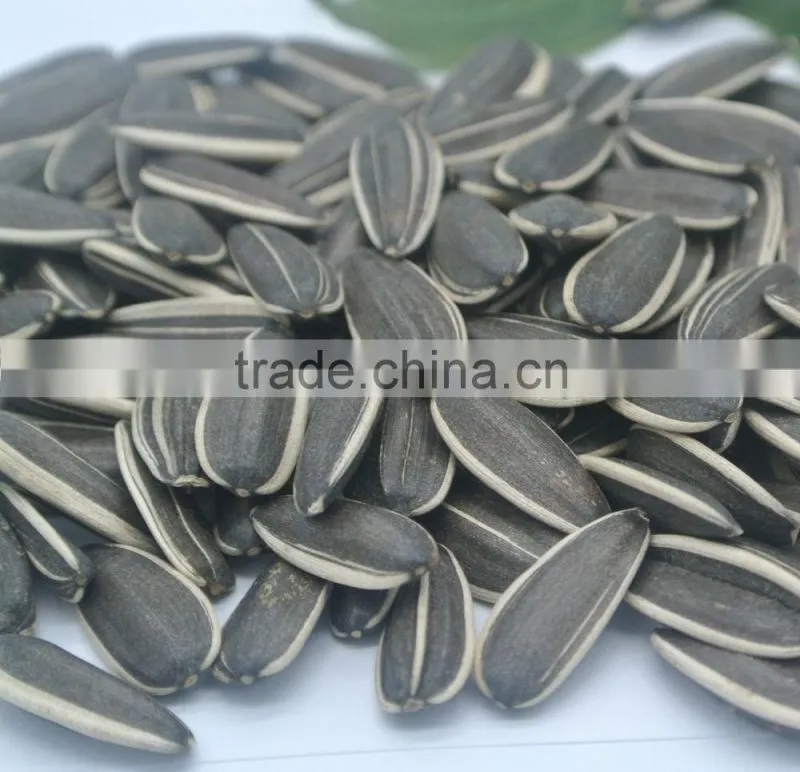Wholesale Sunflower Seeds in china