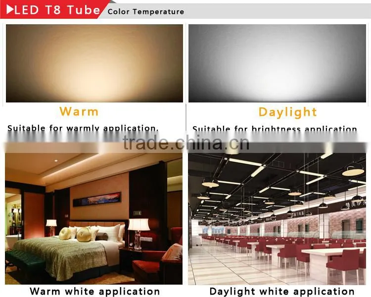Dimmable 3 Years Warranty 4ft G13 T8 LED Tube 1200mm 18w High Brightness