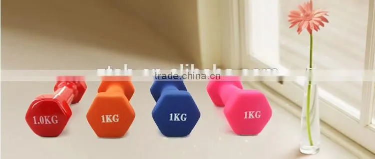 Color Vinyl Dipping Dumbbell,PVC Coated Dumbbell for women