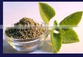 Thyme essential oil