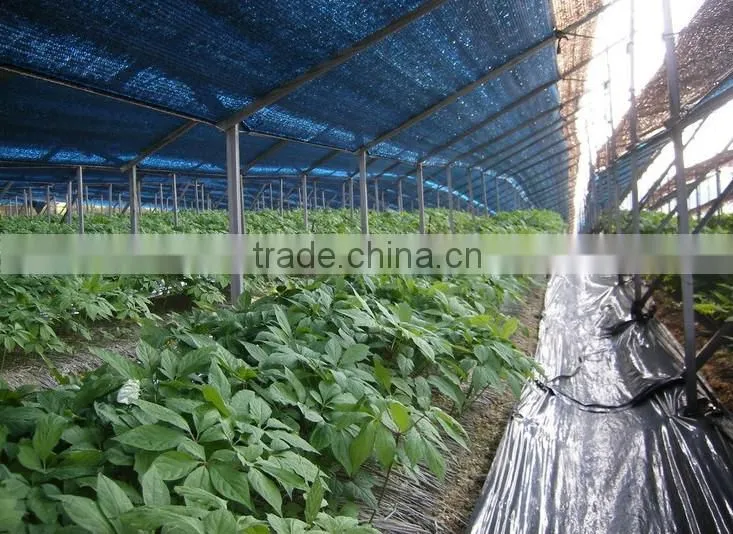 Green Shade net, Sun Shade net