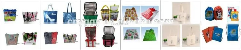 non woven PP bag