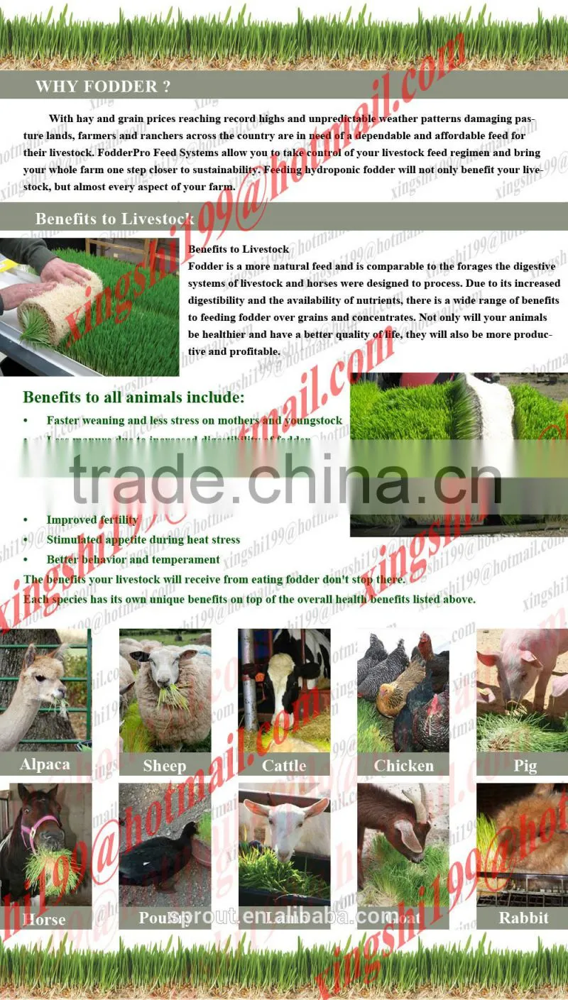 Farm Favorite Green Organic Fodder Growing Machine