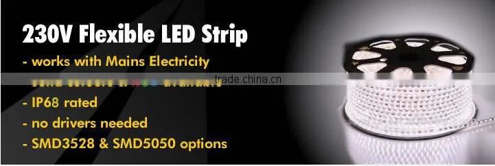 110v/220V 5050 led strip light