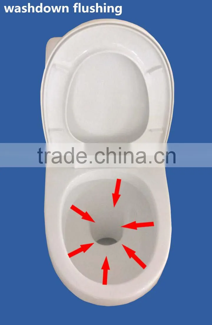 good flushing types of water closet