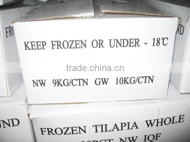 frozen tilapia seafood fish