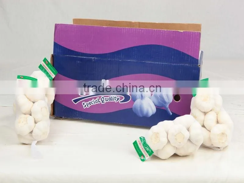 Laiwu 5.5 natural white fresh garlic