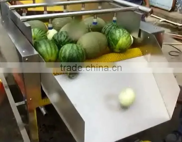 Full Automatic Industrial Spray Vegetable And Fruit Washer Washing Machine