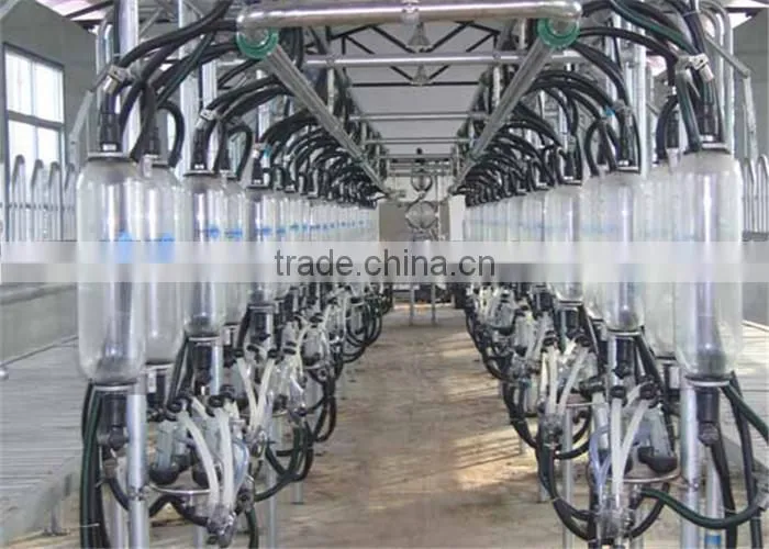 Farm Milking Parlour Plant for Goats and Sheep