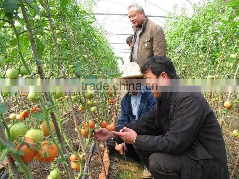 drip irrigation tape inner inlaid flat drip irrigation drip tape