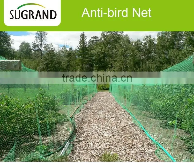 Top Quality Bird Mist Nets For Grape Seedlings