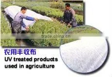17-19 gsm UV Protection non woven Fabrics for Agriculture and Crop Protection